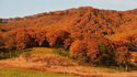 Herbst in Russland